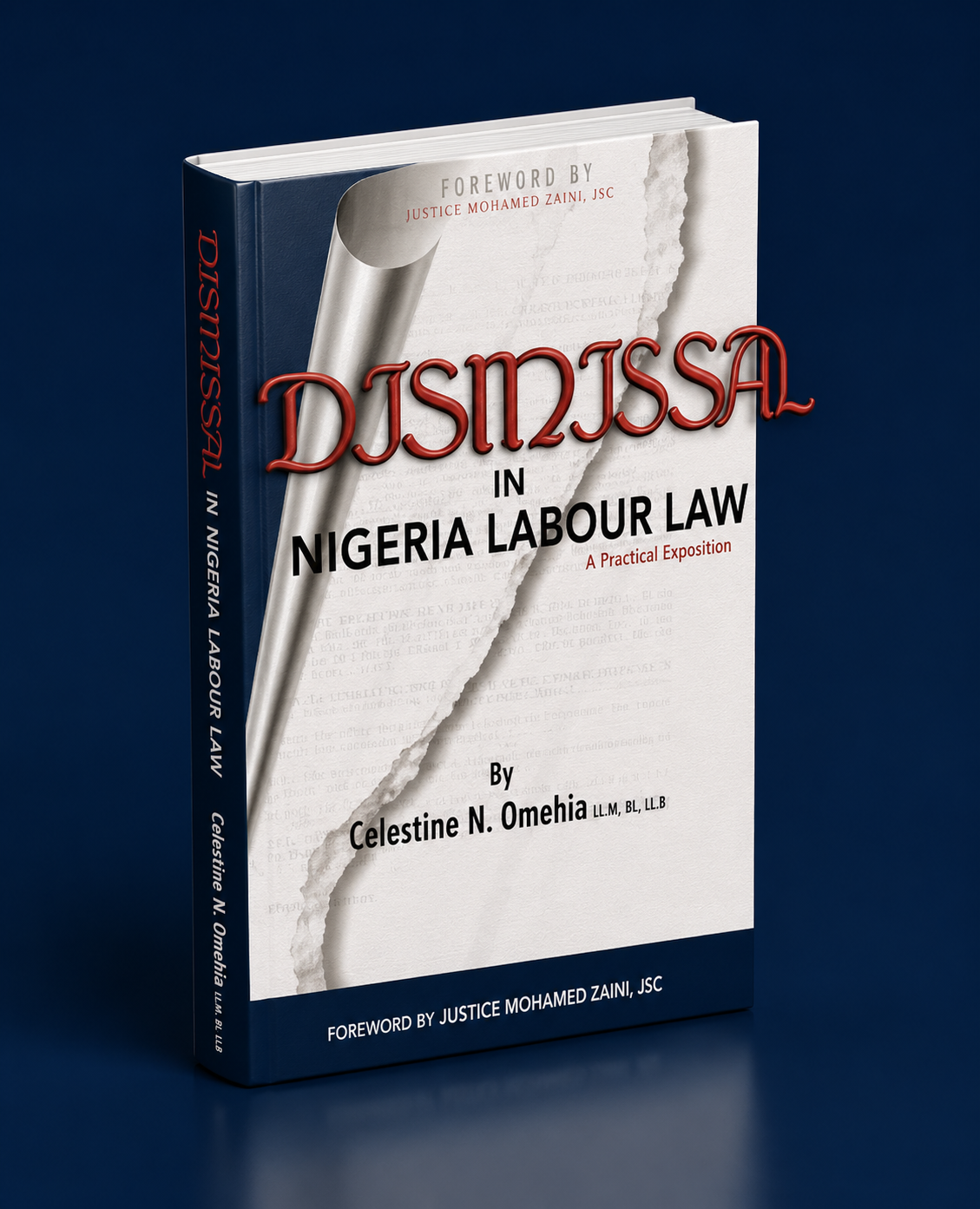 Cover of Dismissal In Nigeria Labour Law